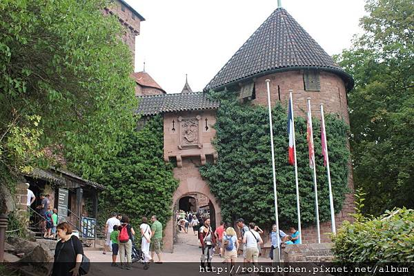 IMG_6684.JPG IMG_6684.JPG