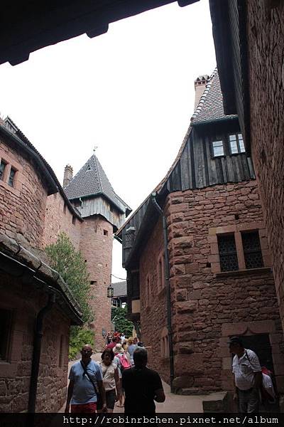 IMG_6690.JPG IMG_6690.JPG