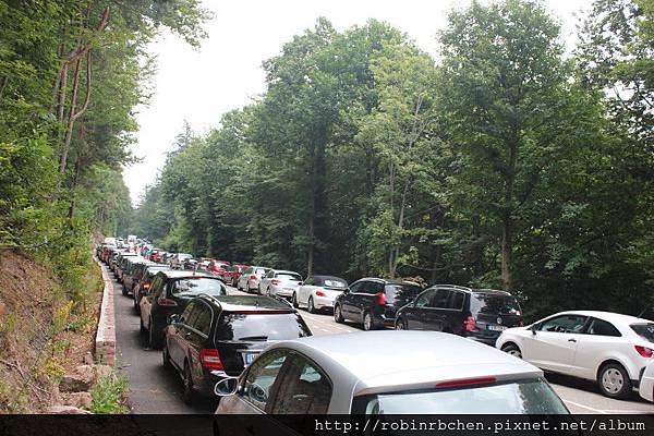 IMG_6794.JPG IMG_6794.JPG