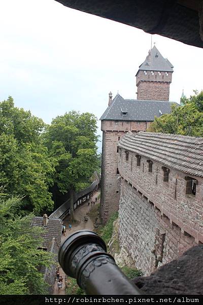 IMG_6773.JPG IMG_6773.JPG