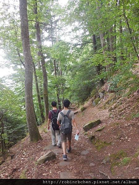 DSCN1339.JPG DSCN1339.JPG