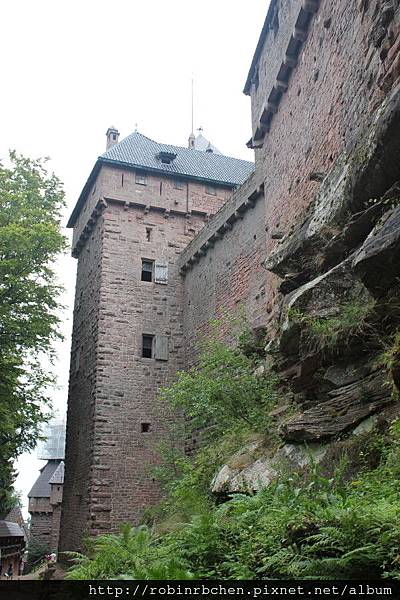 IMG_6779.JPG IMG_6779.JPG