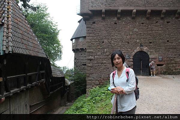 IMG_6780.JPG IMG_6780.JPG