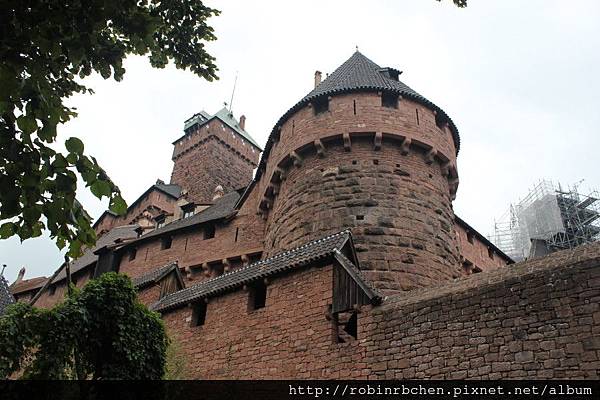 IMG_6784.JPG IMG_6784.JPG