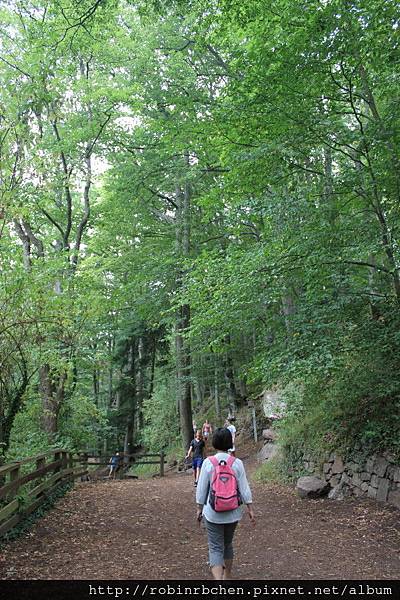 IMG_6787.JPG IMG_6787.JPG