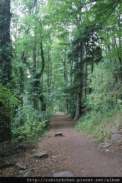 IMG_6788.JPG IMG_6788.JPG