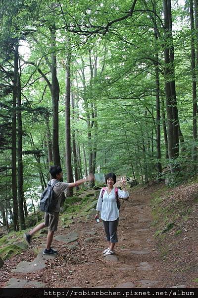 IMG_6791.JPG IMG_6791.JPG