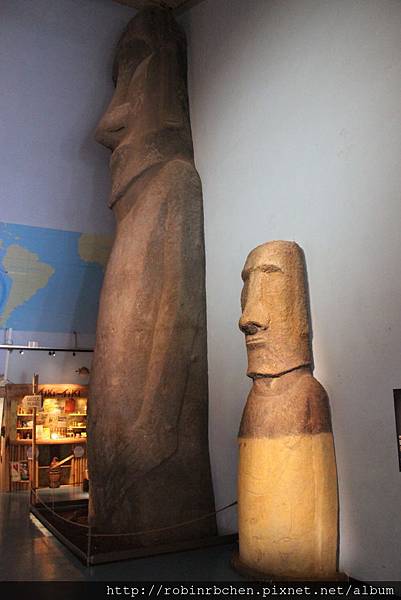 IMG_0224.JPG IMG_0224.JPG