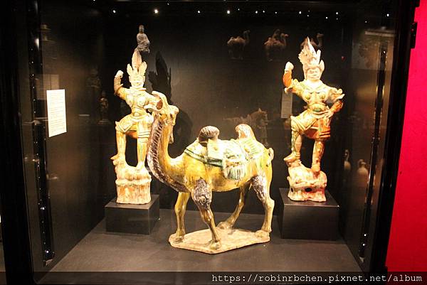 IMG_0981.JPG IMG_0981.JPG