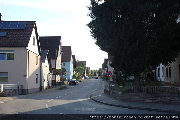 IMG_6196.JPG IMG_6196.JPG