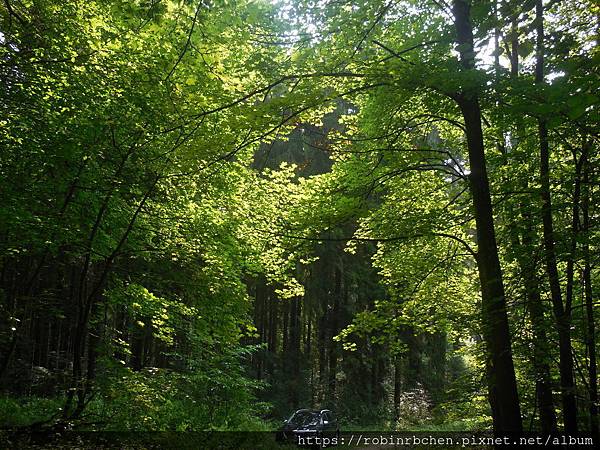 DSCN1440.JPG DSCN1440.JPG