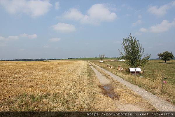 IMG_7159.JPG IMG_7159.JPG