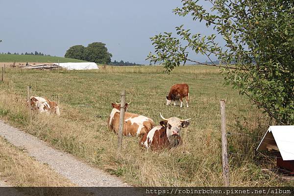 IMG_7162.JPG IMG_7162.JPG