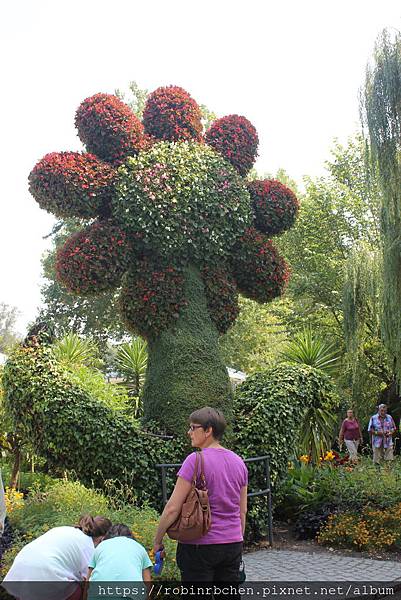 IMG_7172.JPG IMG_7172.JPG