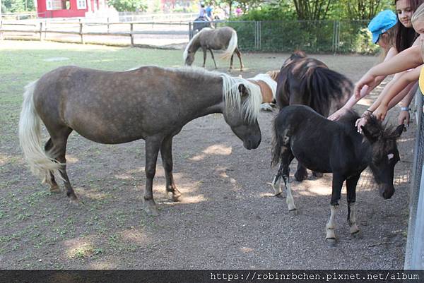 IMG_7179.JPG IMG_7179.JPG