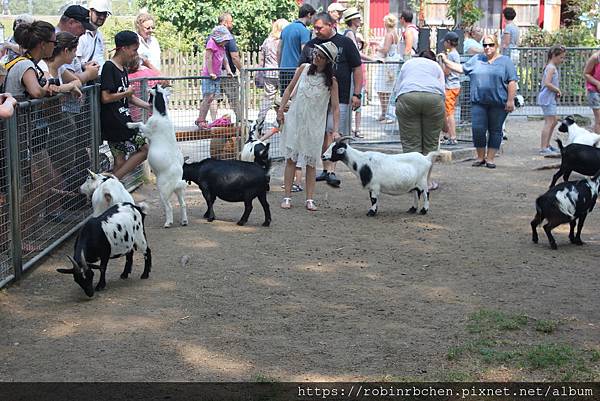 IMG_7180.JPG IMG_7180.JPG