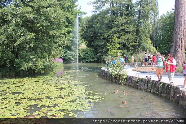 IMG_7182.JPG IMG_7182.JPG