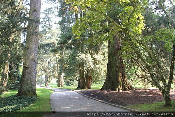 IMG_7208.JPG IMG_7208.JPG