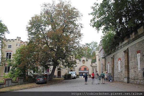 IMG_8550.JPG IMG_8550.JPG