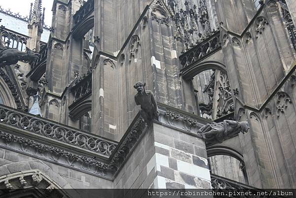 IMG_1955.JPG IMG_1955.JPG