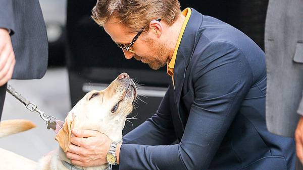 1280_ryan_gosling_meets_dog_new_york_city_05132016_splash.jpg 1280_ryan_gosling_meets_dog_new_york_city_05132016_splash.jpg