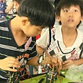 201107-新光 046.jpg