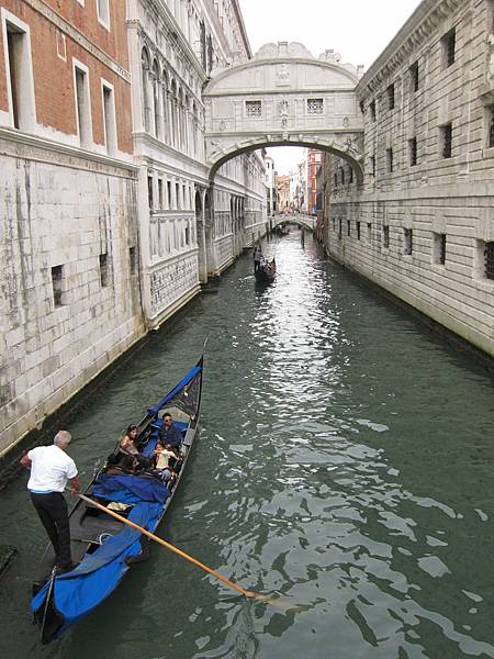 IMG_3706 IMG_3706