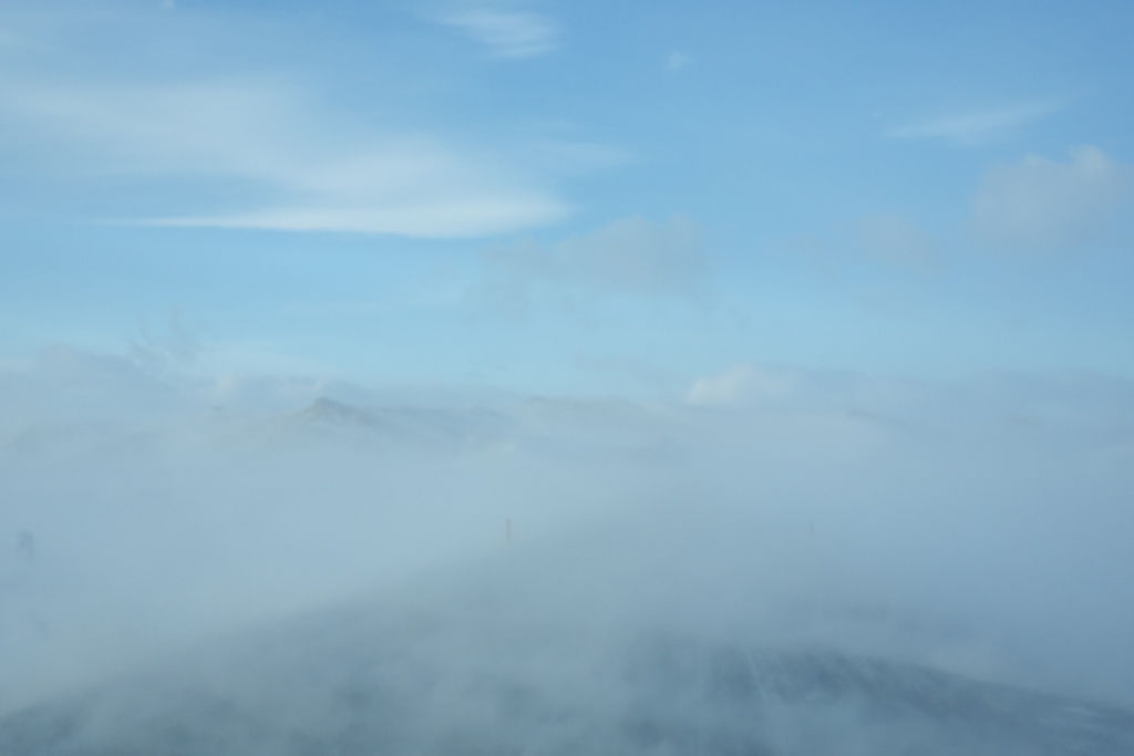 DSC07534 DSC07534
