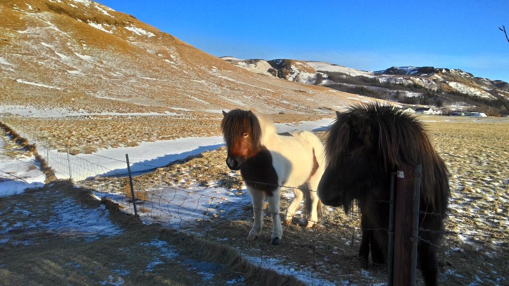 P_20150131_144102_HDR P_20150131_144102_HDR
