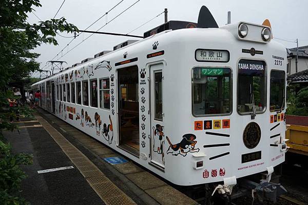 11698717_10207436337012533_8465104063622363245_n