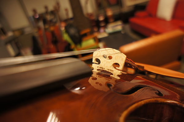 violin 063.JPG