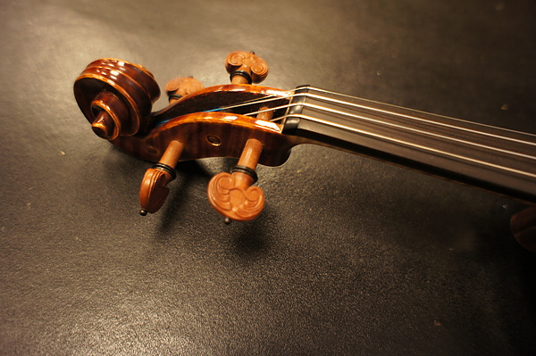 violin 053.JPG