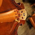 violin 065.JPG