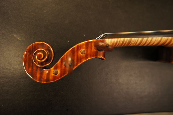 violin 050.JPG