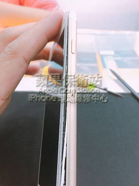 S__6701062拷貝.jpg S__6701062拷貝.jpg