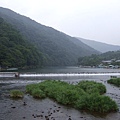 雨中的嵐山