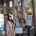 水里鄉