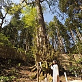 貴船神社