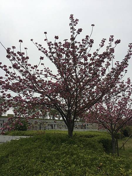 狹山池博物館