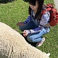 仁愛鄉