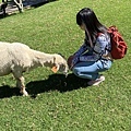 仁愛鄉