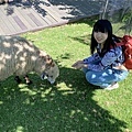 仁愛鄉