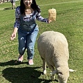 IMG_0779.jpg
