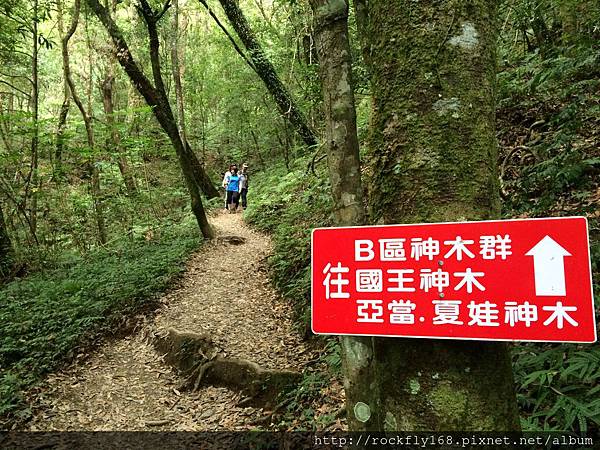 【認識更高層世界的知識】20251201