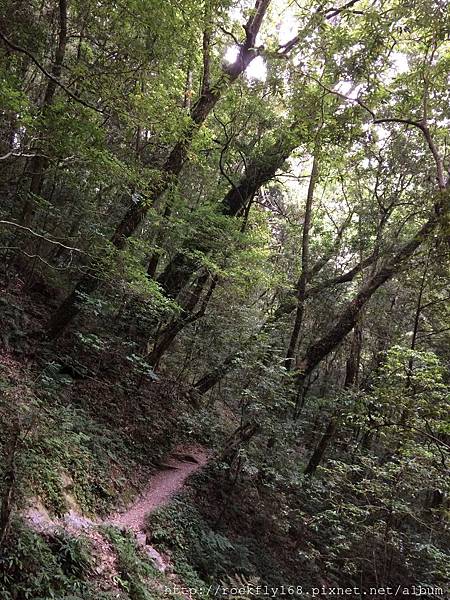 【認識更高層世界的知識】20251208