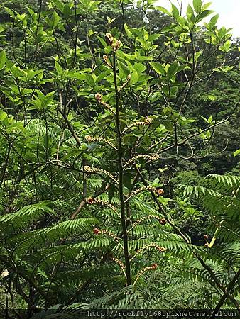 IMG_3854.JPG IMG_3854.JPG