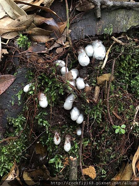 IMG_4164.JPG IMG_4164.JPG