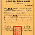 泡棉滾筒運動基礎課程認證證書.jpg