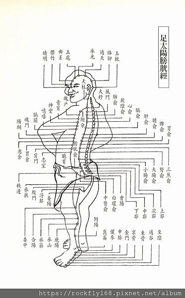 足太陽膀胱經.jpg