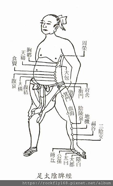 足太陰脾經01.jpg